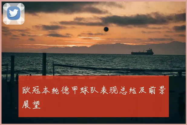 欧冠本轮德甲球队表现总结及前景展望